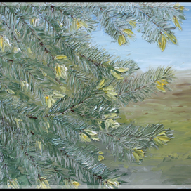 Красная шапочка