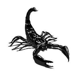 Черный скорпион на белом фоне, изолированные блестящие гладкие
