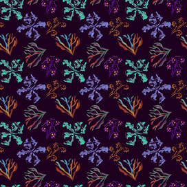 Красота вокруг