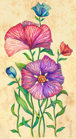 Летнее настроение