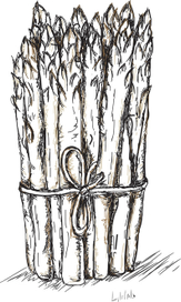 Asparagus