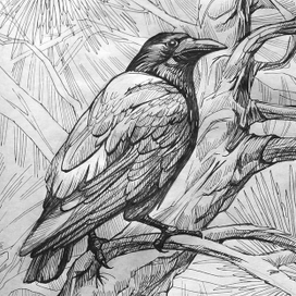 Перья и ветви