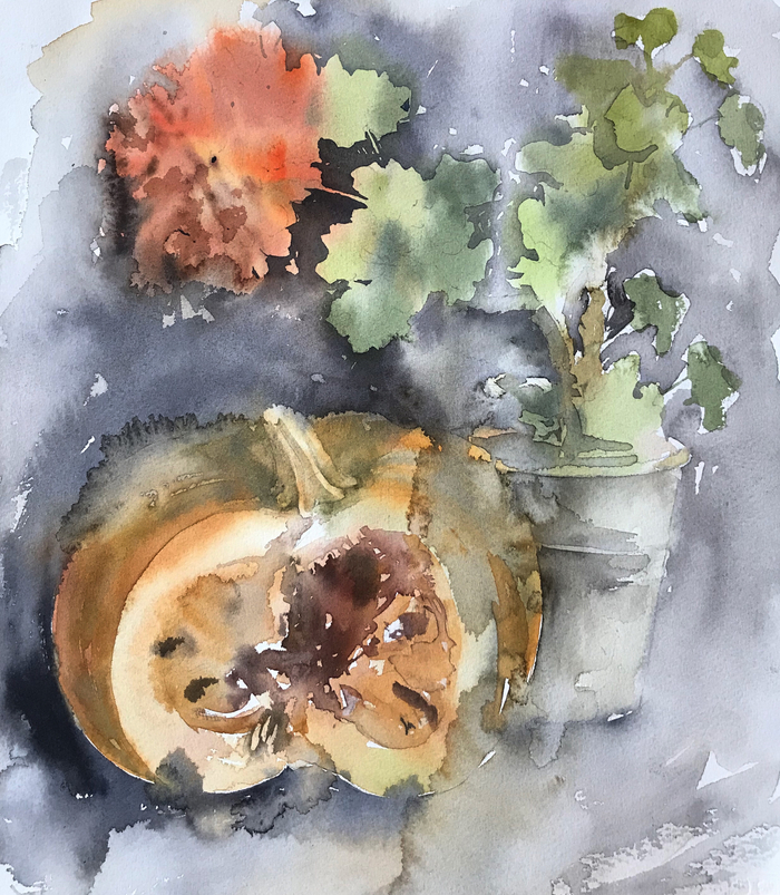 Этюд с тыквой и геранью 