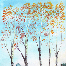 На даче. Начало ноября. Погожий день.