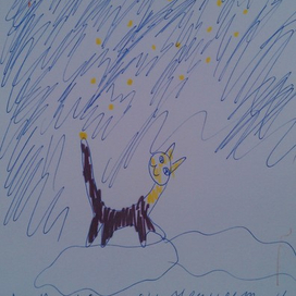 Звездный кот