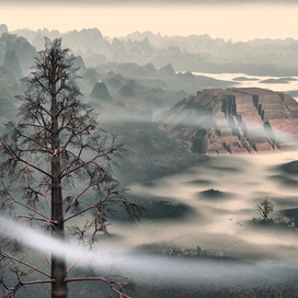 Старое русло Амазонки