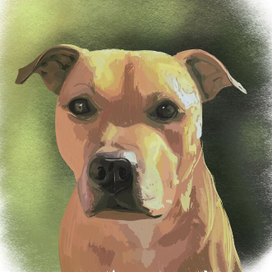 Портрет собаки