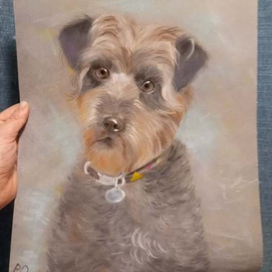 Лучший друг.