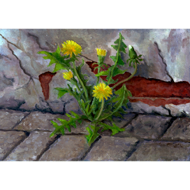 не ко двору