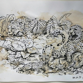 Рис. из пятна -Гепарды..(КОНЕЧНЫЙ)