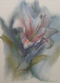 Зимняя лилия