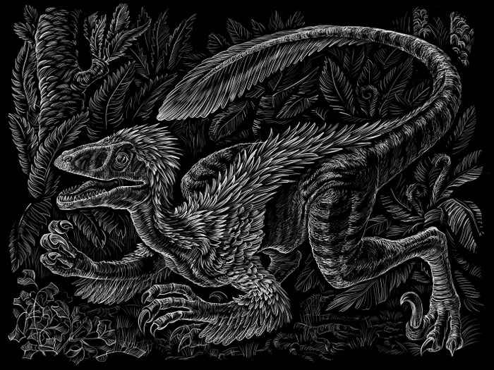 Очередное тестовое