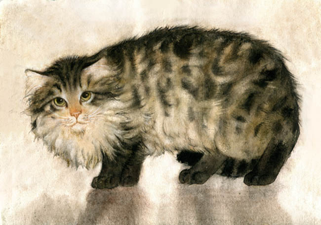 Пёстрая кошка