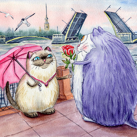 Котики в Питере. Объяснение в любви