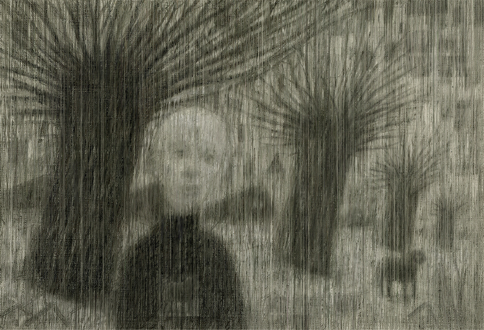 Северные пальмы