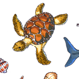 Воспоминания о море