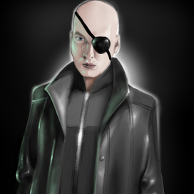 Фьюри стайл