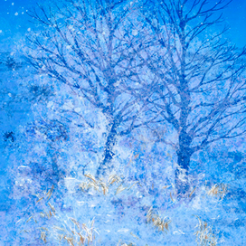 ЗИМУШКА ПРИШЛА