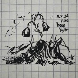 beep
