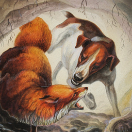 Гладкий фокс и лиса.