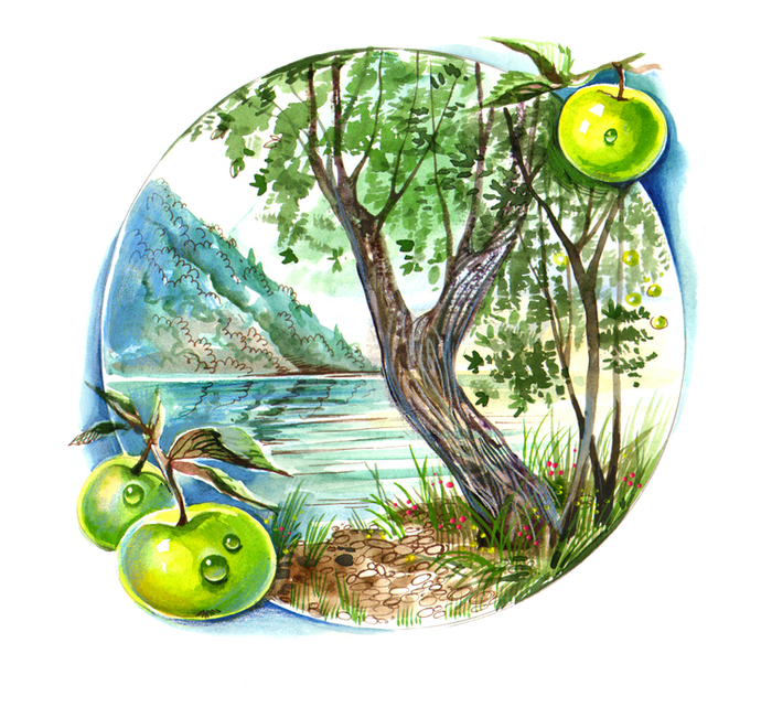 календарь 4 врем. года-лето