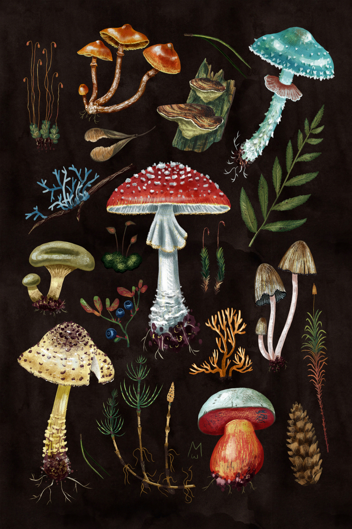 Открытка "Лесные сокровища"