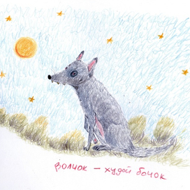 Волчок-худой бочок