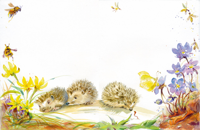 Ежата отправляются во взрослую самостоятельную жизнь