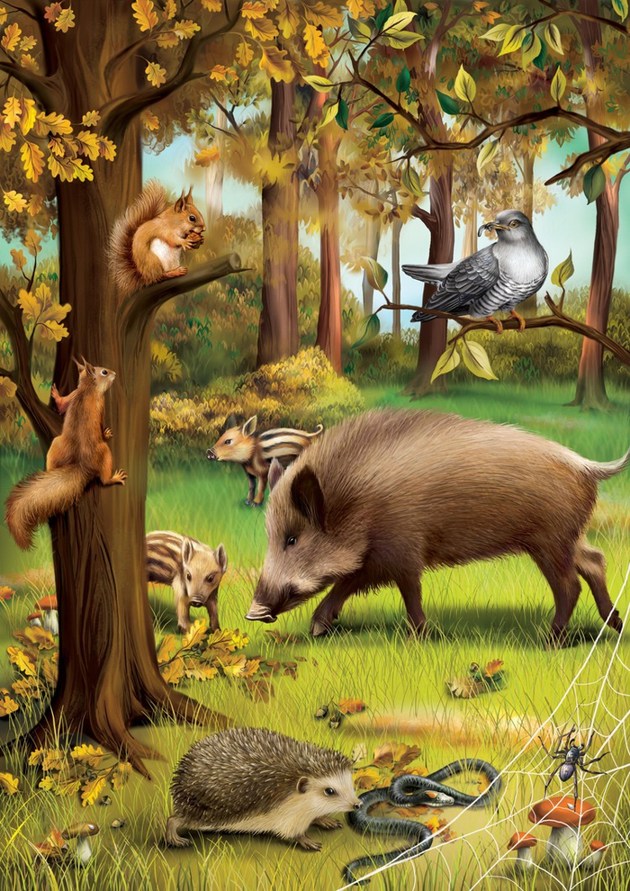 Осень в лесу