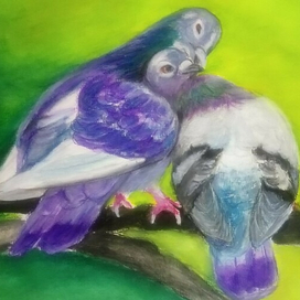 Любовь и голуби