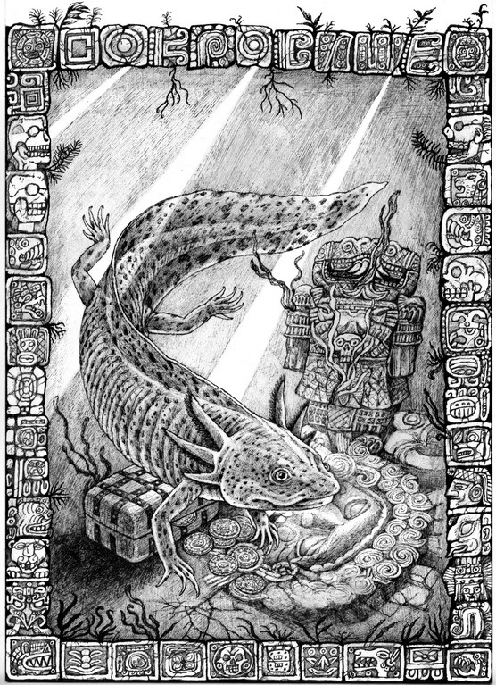 Axolotl (Ambystoma tigrinum)