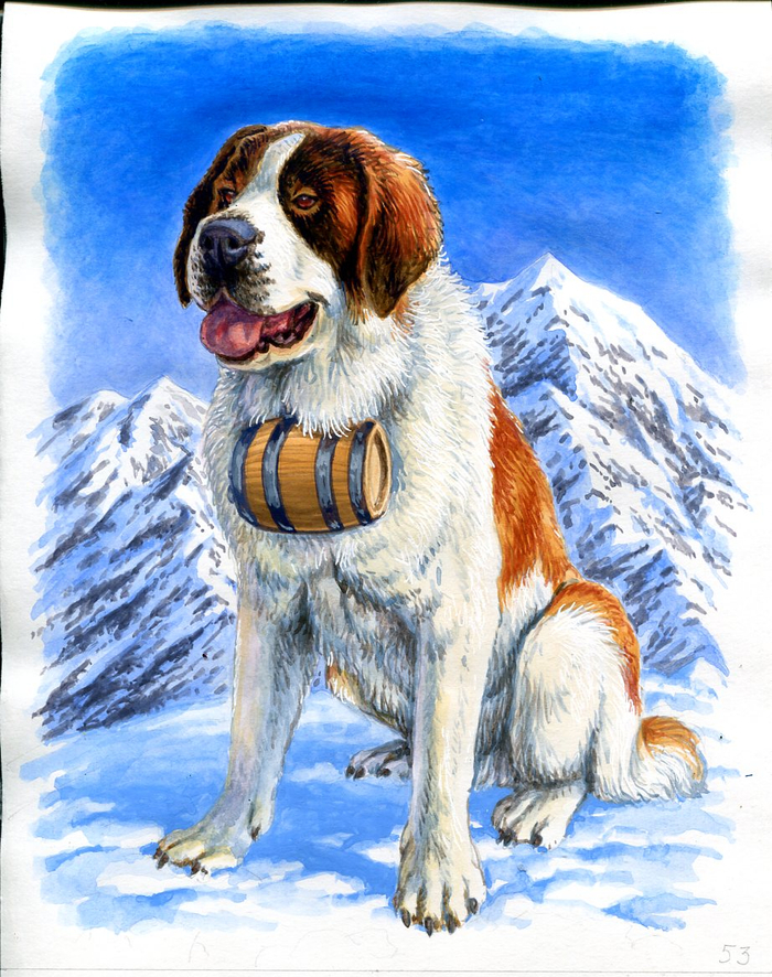 Сан-готардская собака.