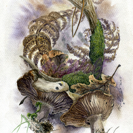 Зяблик на оленьем роге