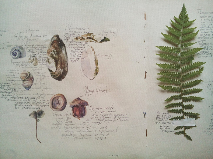 справочник о жизни на Земле