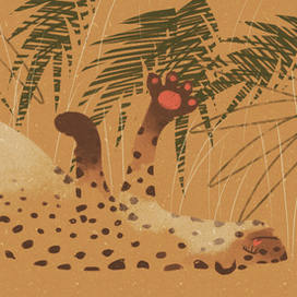 Леопард наелся и спит