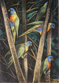 Радужные лорикеты