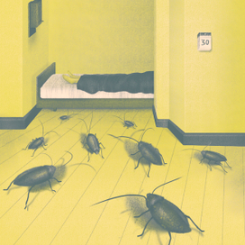 В преддверии