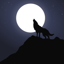 Волк на фоне луны