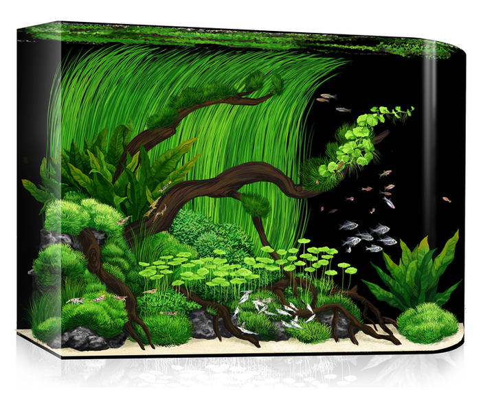 Проект аквариума