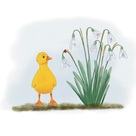 Первые знакомства