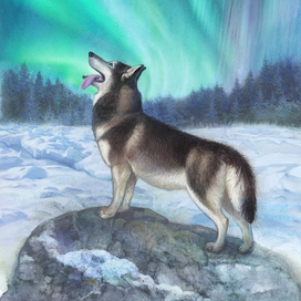 Того Отважный 