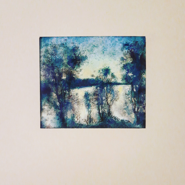 Пруд сквозь деревья. Закат