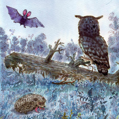 Для книжки про "Лес". Издательство "Аст"