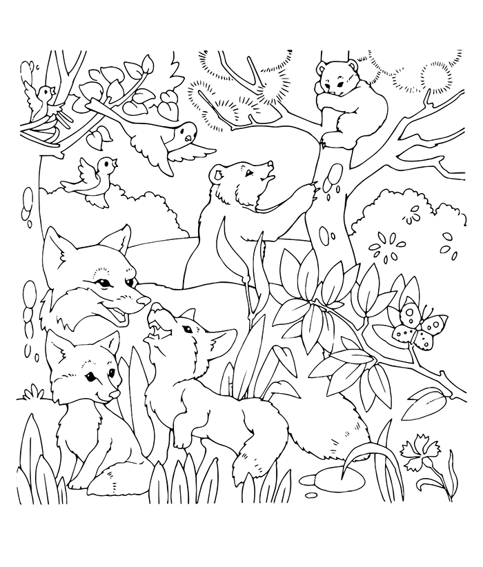 Познавательная раскраска о природе