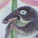 С разиником, дорогие! ВыХ.