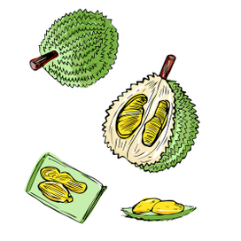 Экзотический дуриан