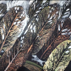 Высокий лес