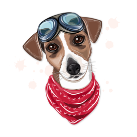 Джекрассел