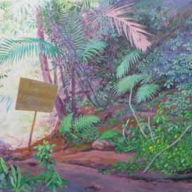 Лесная дорожка