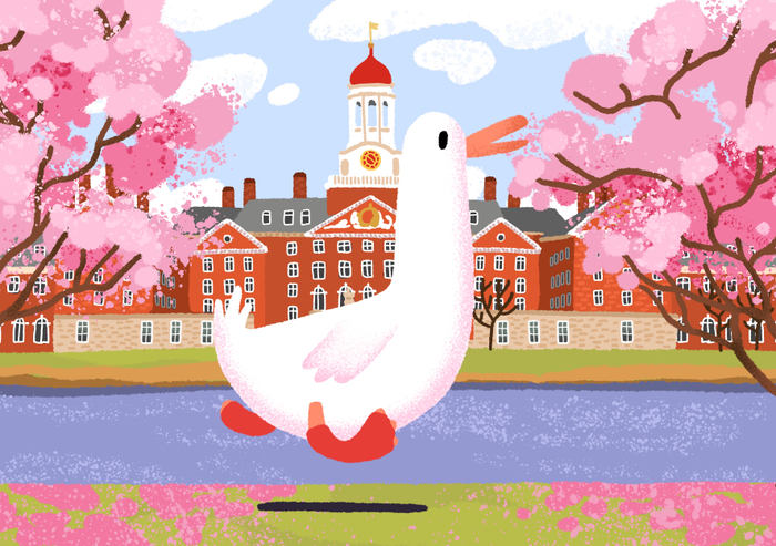 Любопытный гусик в Бостоне